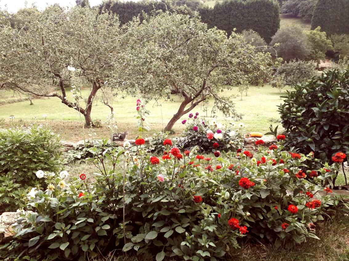 Paca Casa Rural. Arts And Landscape In Asturias 기욘 외부 사진