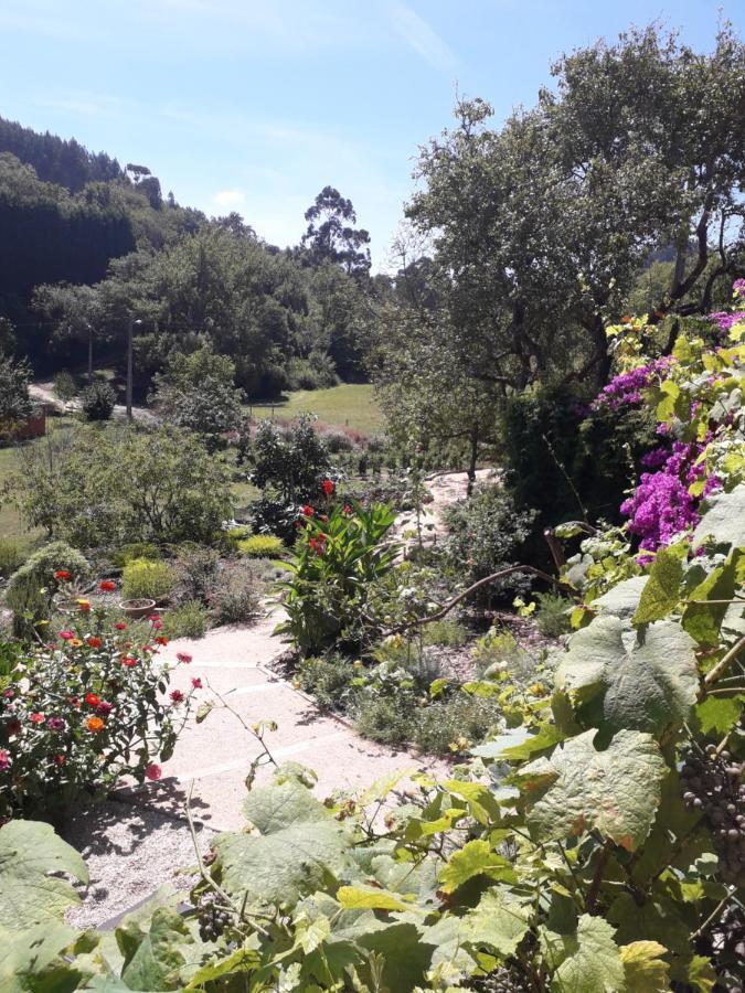 Paca Casa Rural. Arts And Landscape In Asturias 기욘 외부 사진