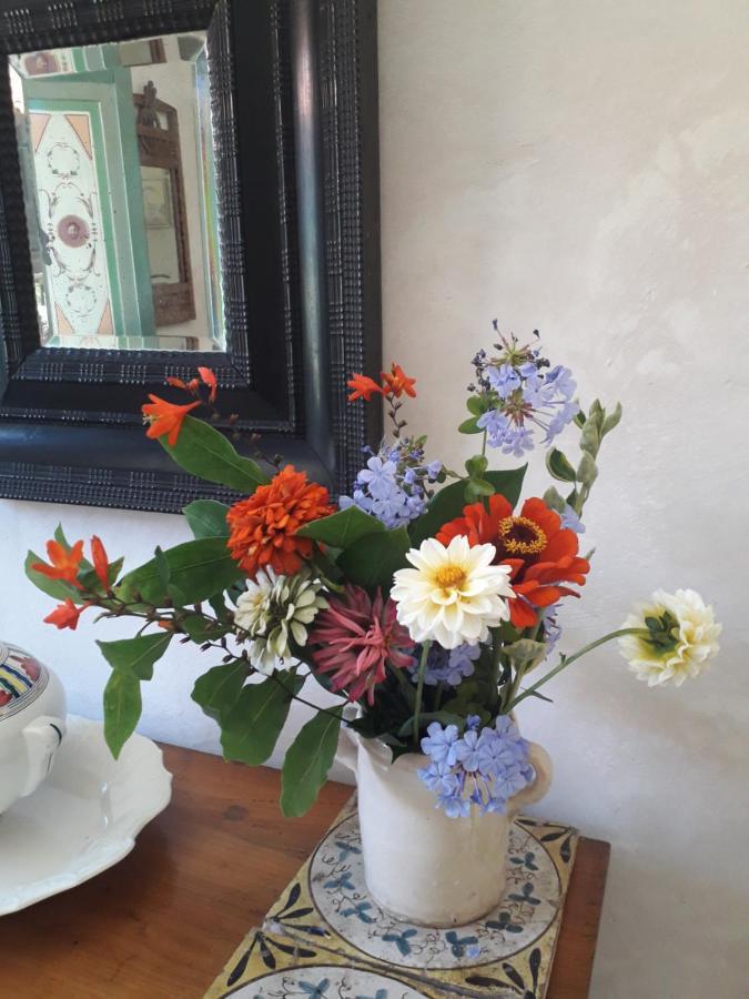 Paca Casa Rural. Arts And Landscape In Asturias 기욘 외부 사진