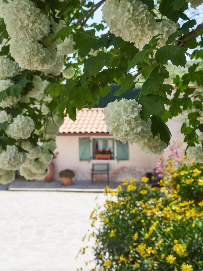Paca Casa Rural. Arts And Landscape In Asturias 기욘 외부 사진