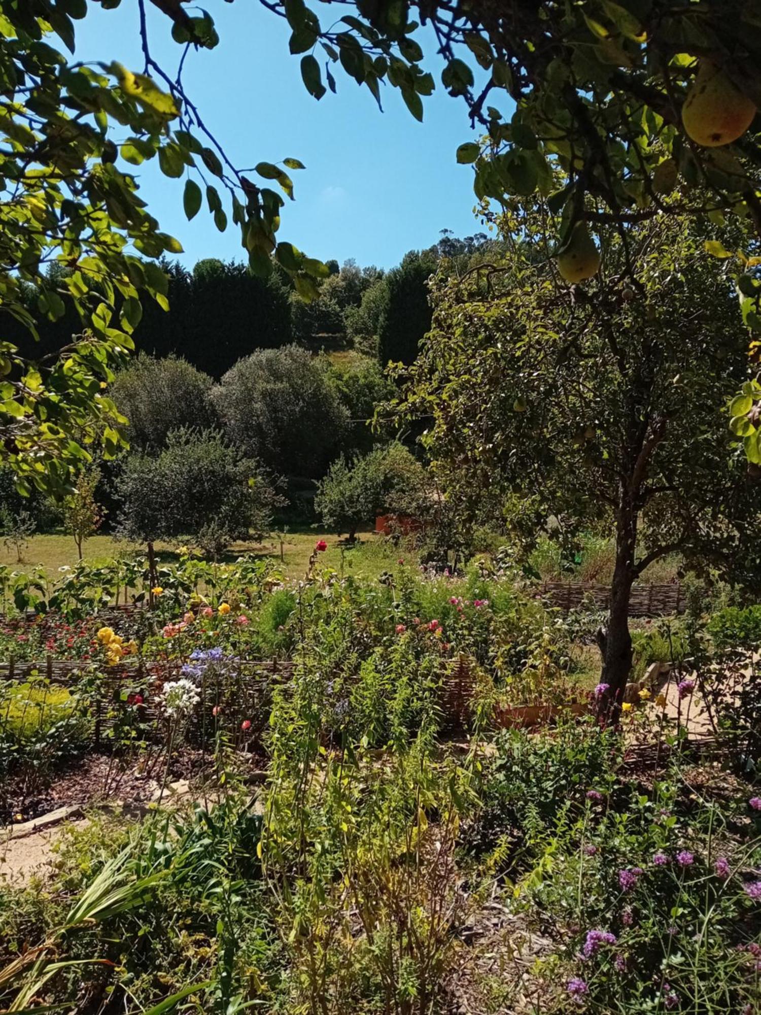 Paca Casa Rural. Arts And Landscape In Asturias 기욘 외부 사진