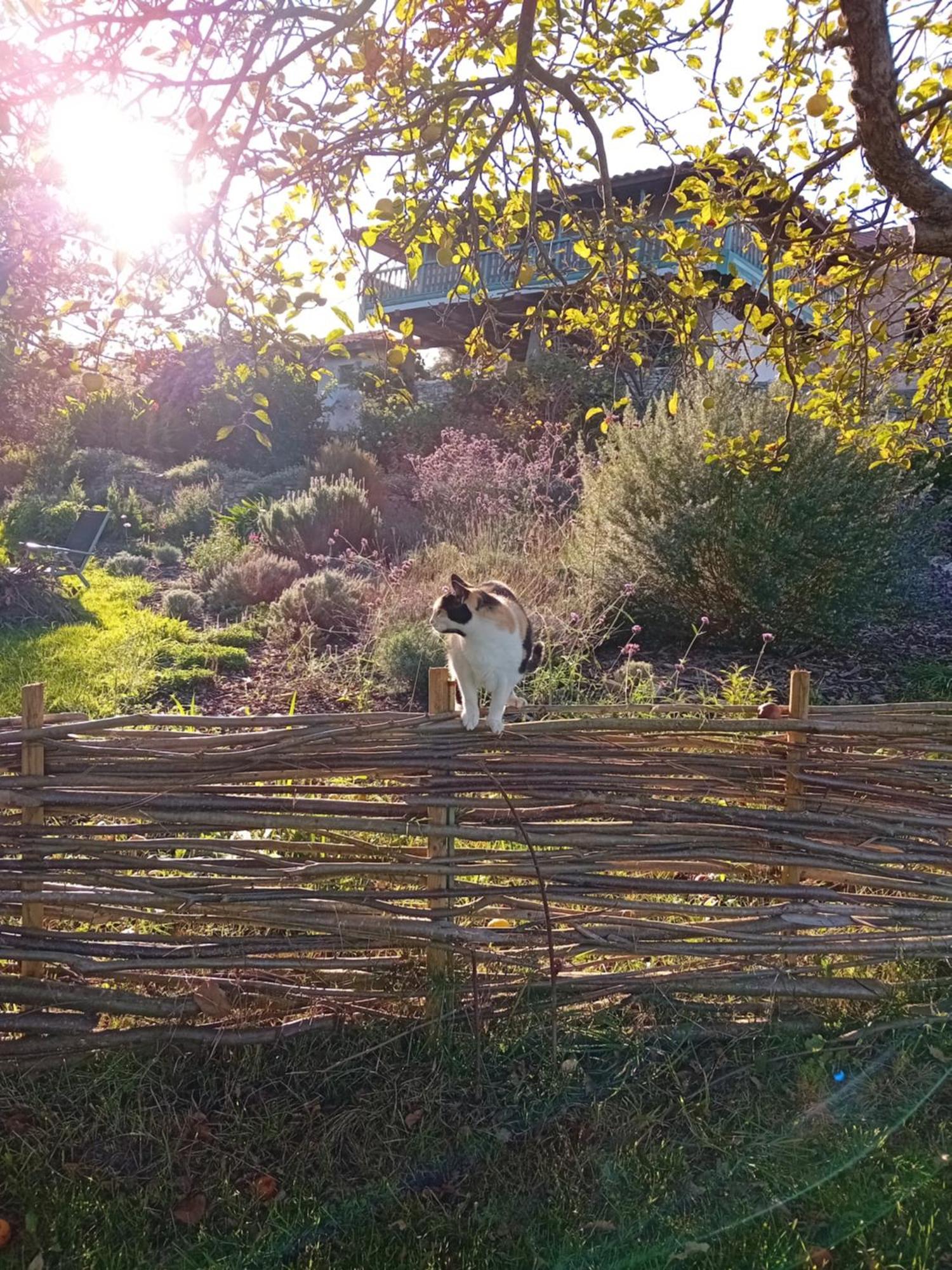 Paca Casa Rural. Arts And Landscape In Asturias 기욘 외부 사진