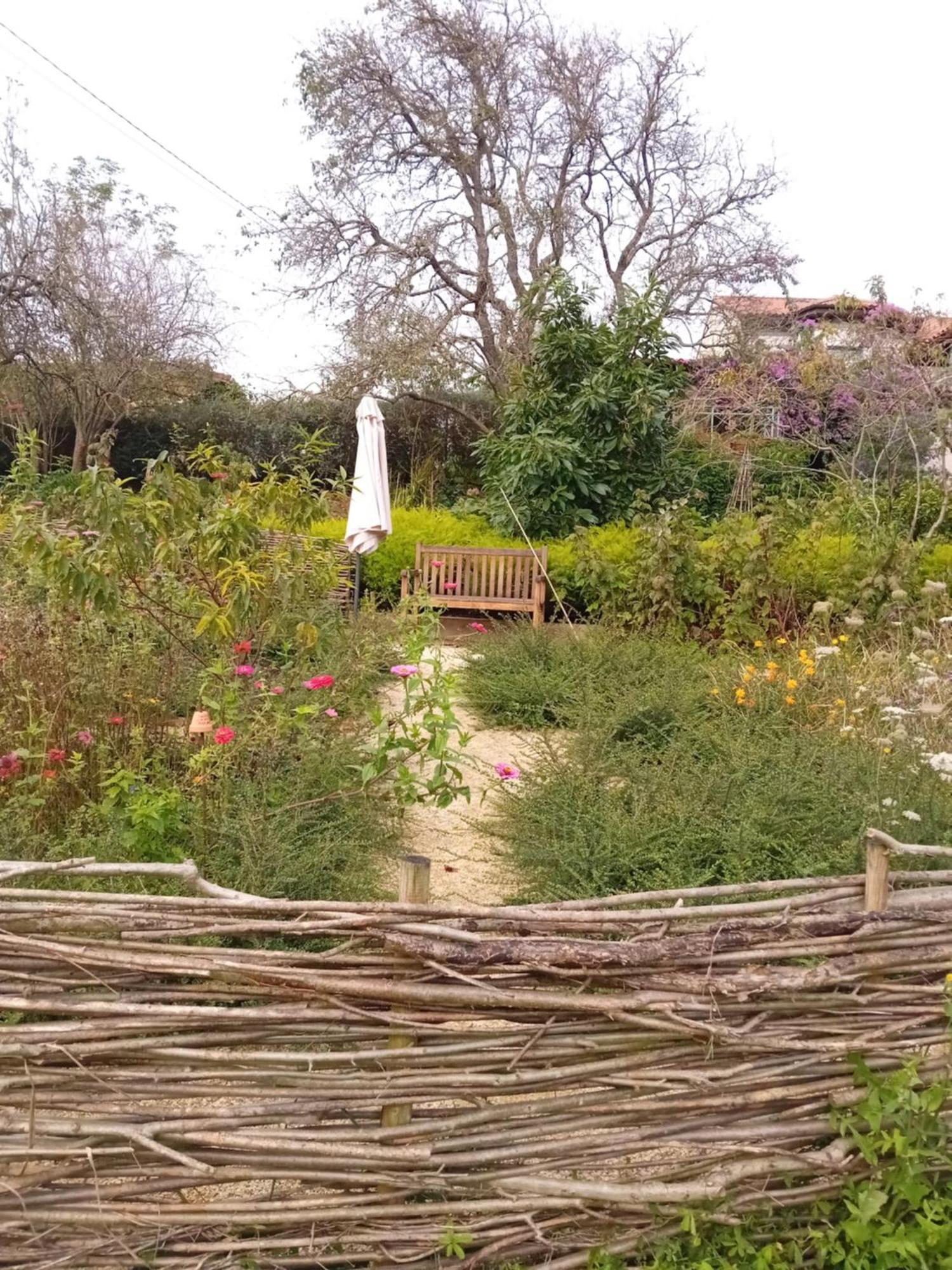 Paca Casa Rural. Arts And Landscape In Asturias 기욘 외부 사진